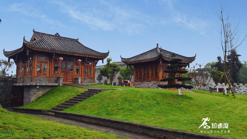 雅安(an)霧茶莊園 (5).jpg